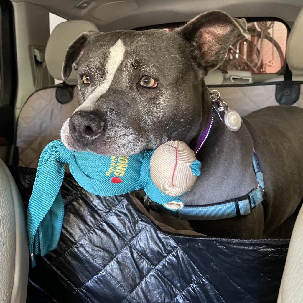 Greedo — thumbnail 5