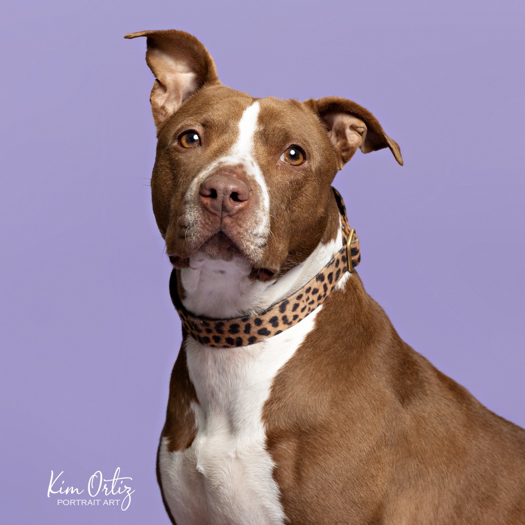 Princess Cheese Puff — thumbnail 7