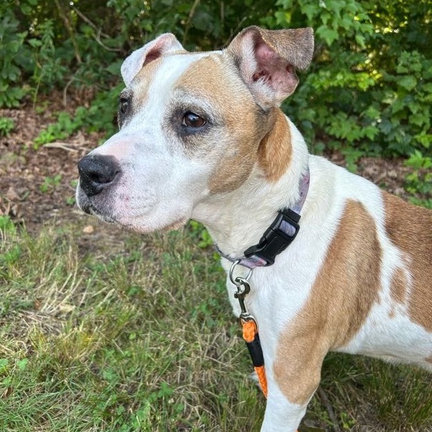 Ol' Lady — thumbnail 3