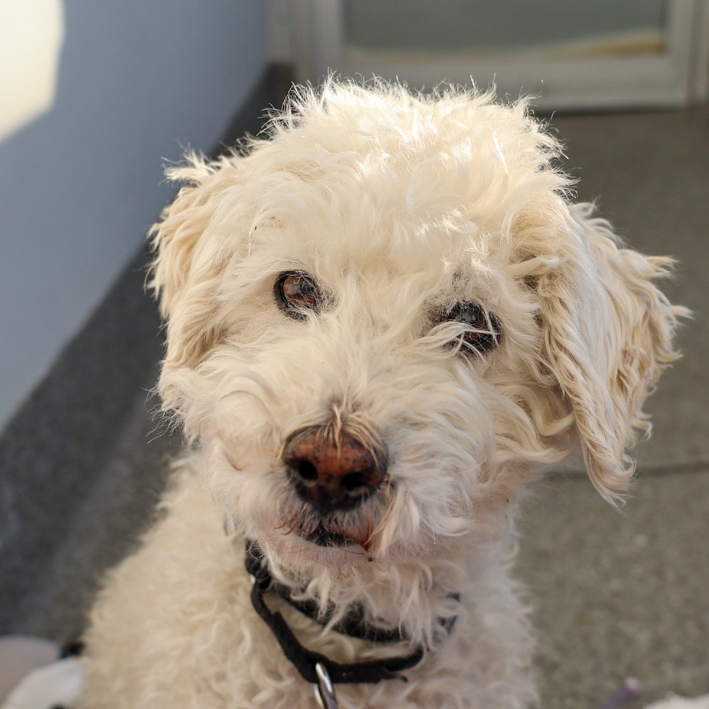 Donald — thumbnail 3