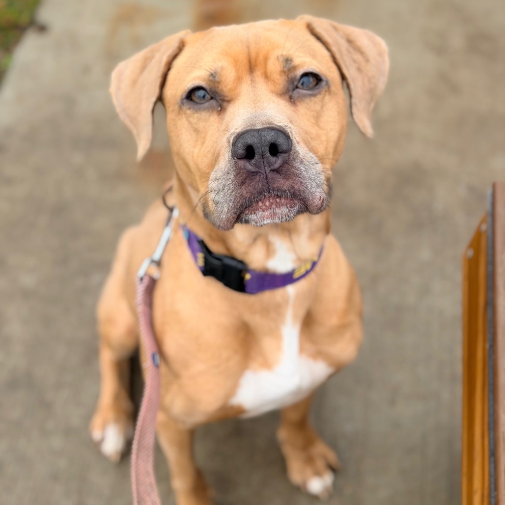 Milli — thumbnail 3