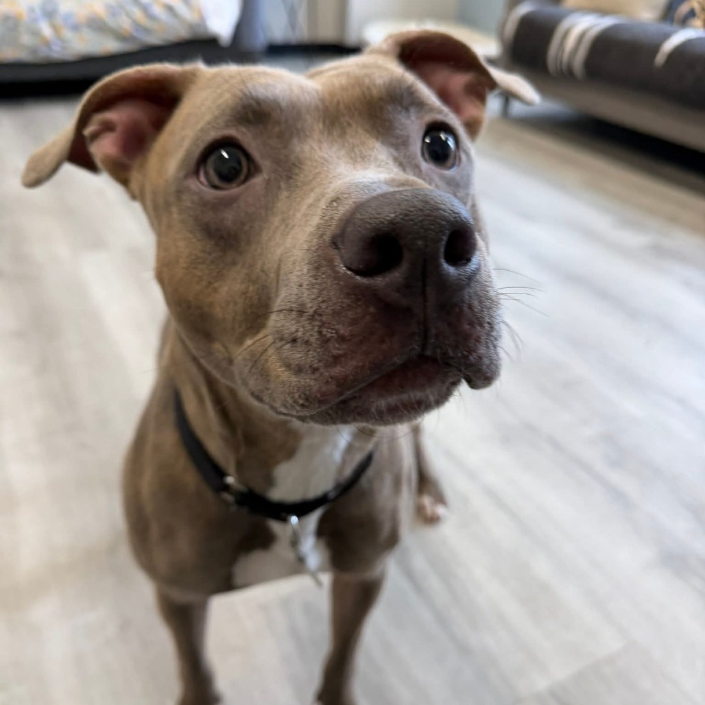 Fiona — thumbnail 5