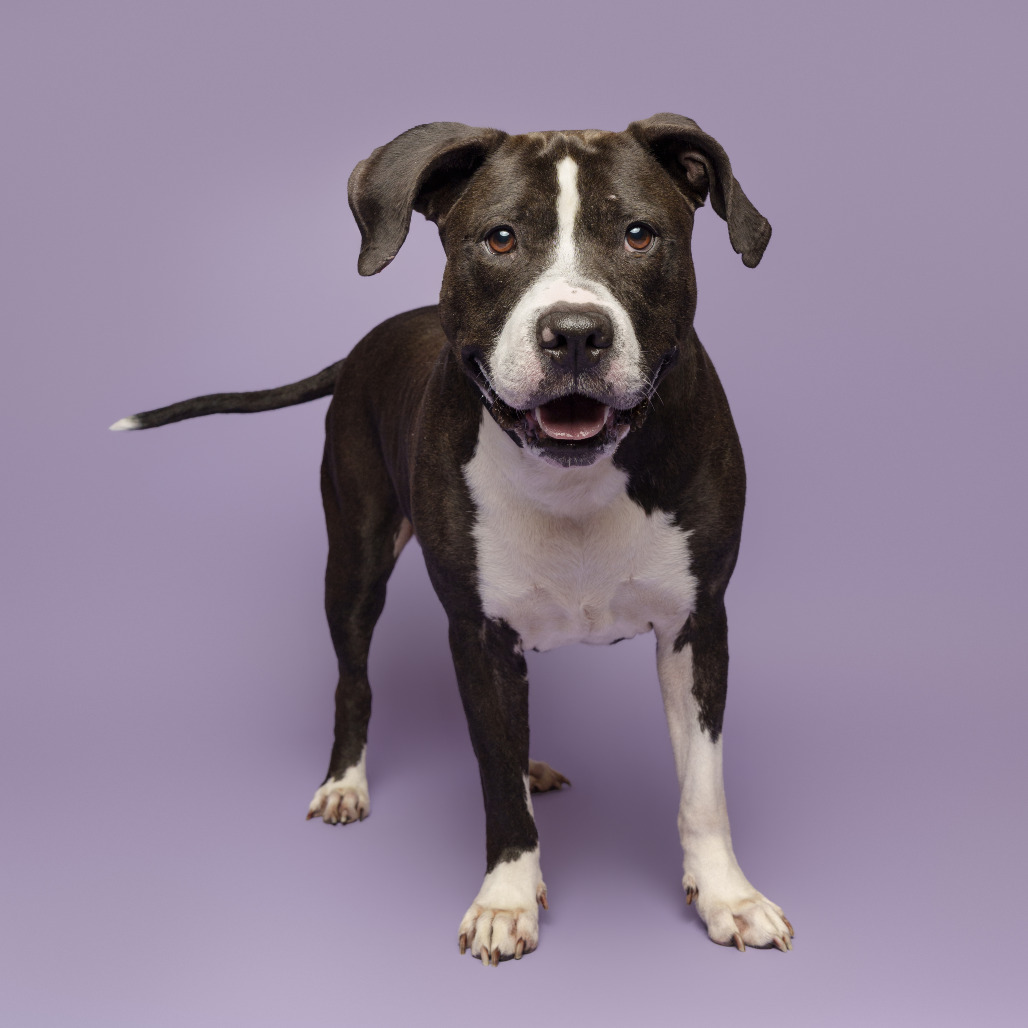 Photo of Dr. Zeus 8