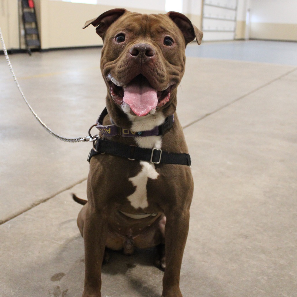 Roscoe — thumbnail 5