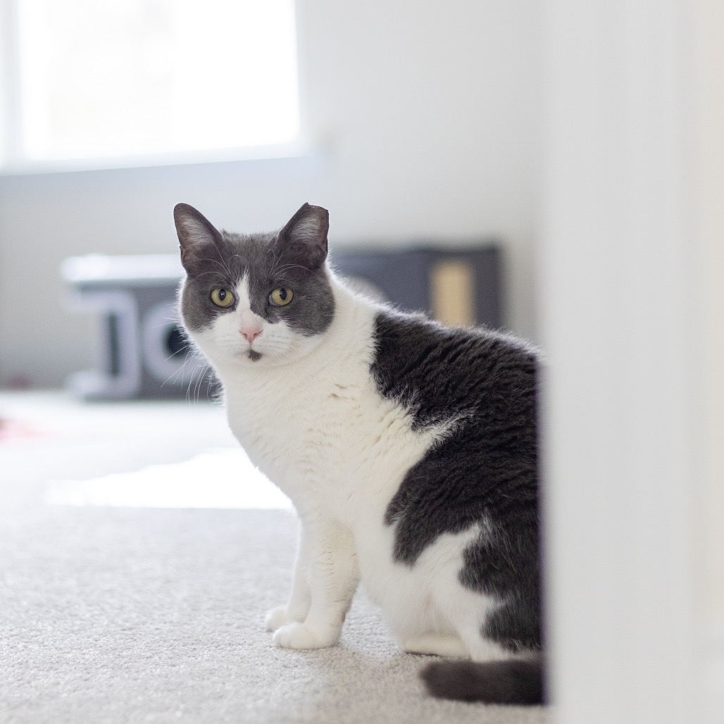 Shift — thumbnail 2