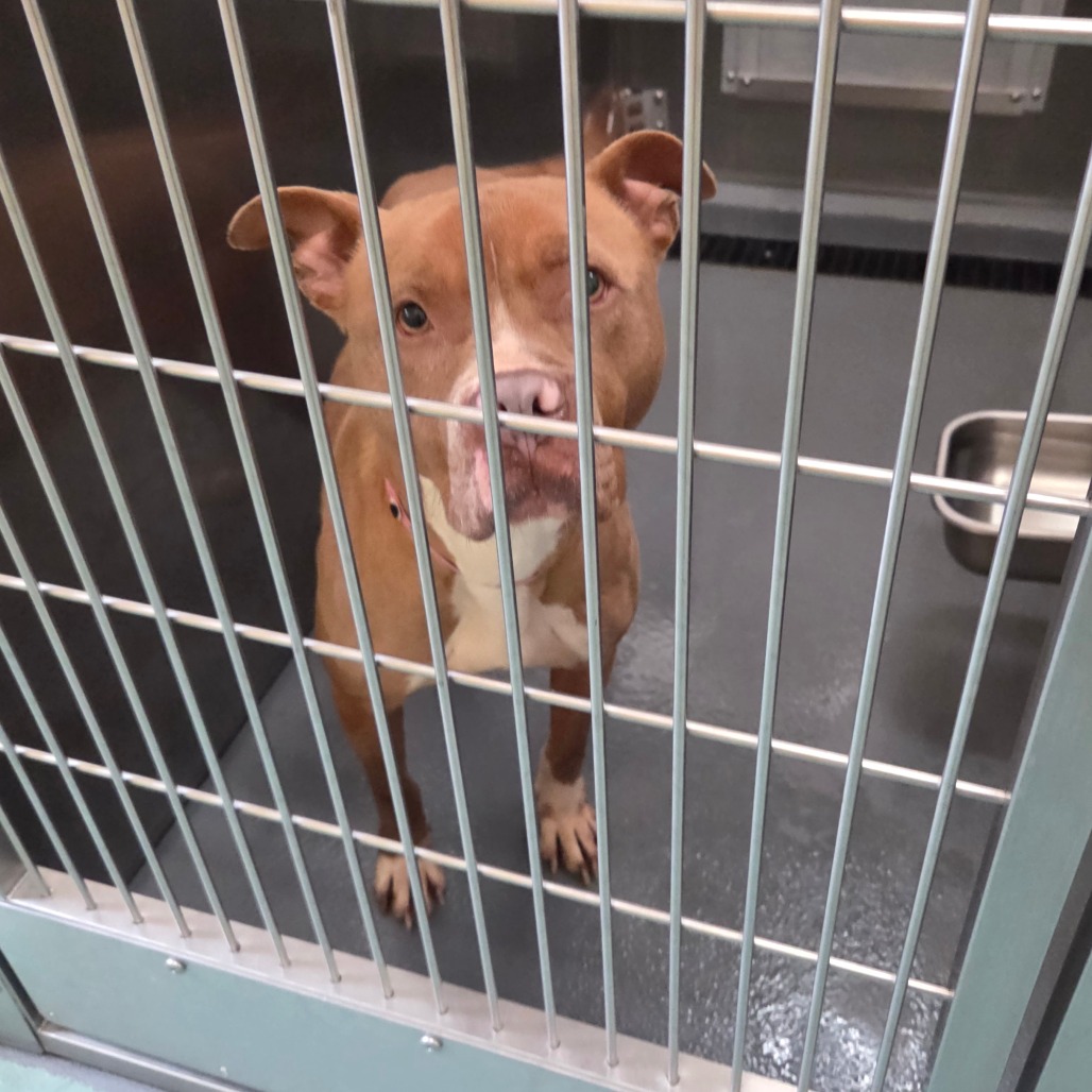 Emily — thumbnail 3