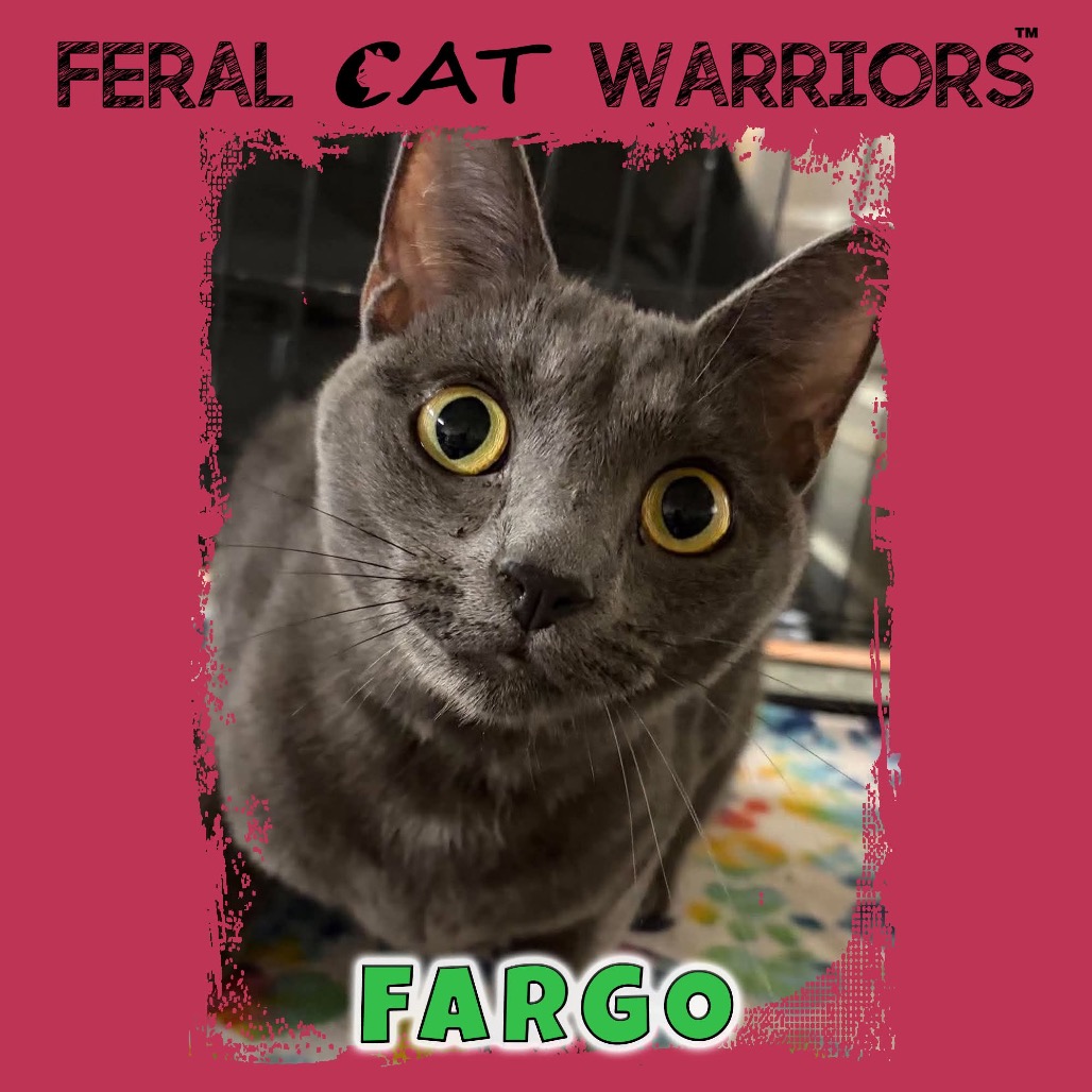 Fargo
