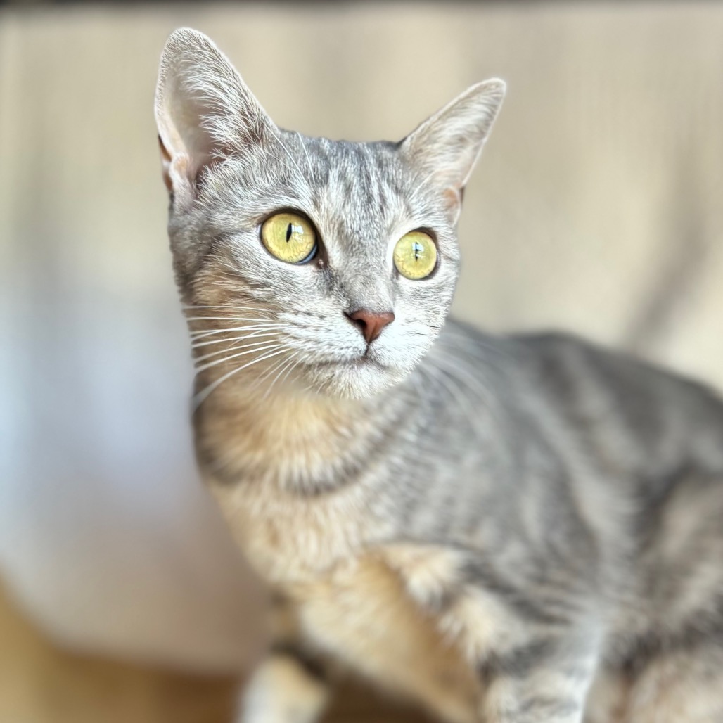 Alma