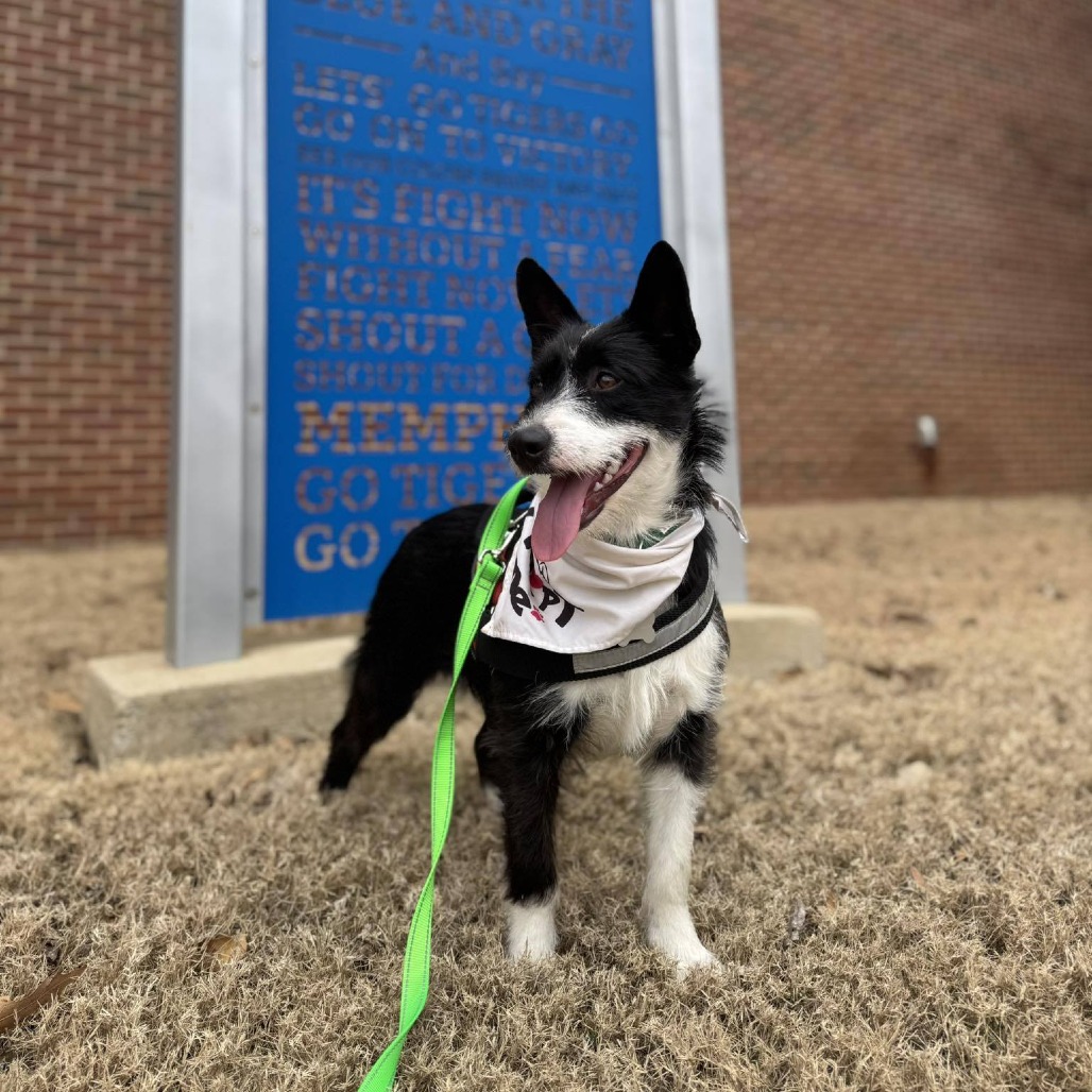 Squirt — thumbnail 4