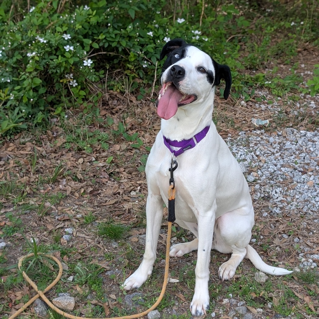 Trisha 06-1013, photo 10