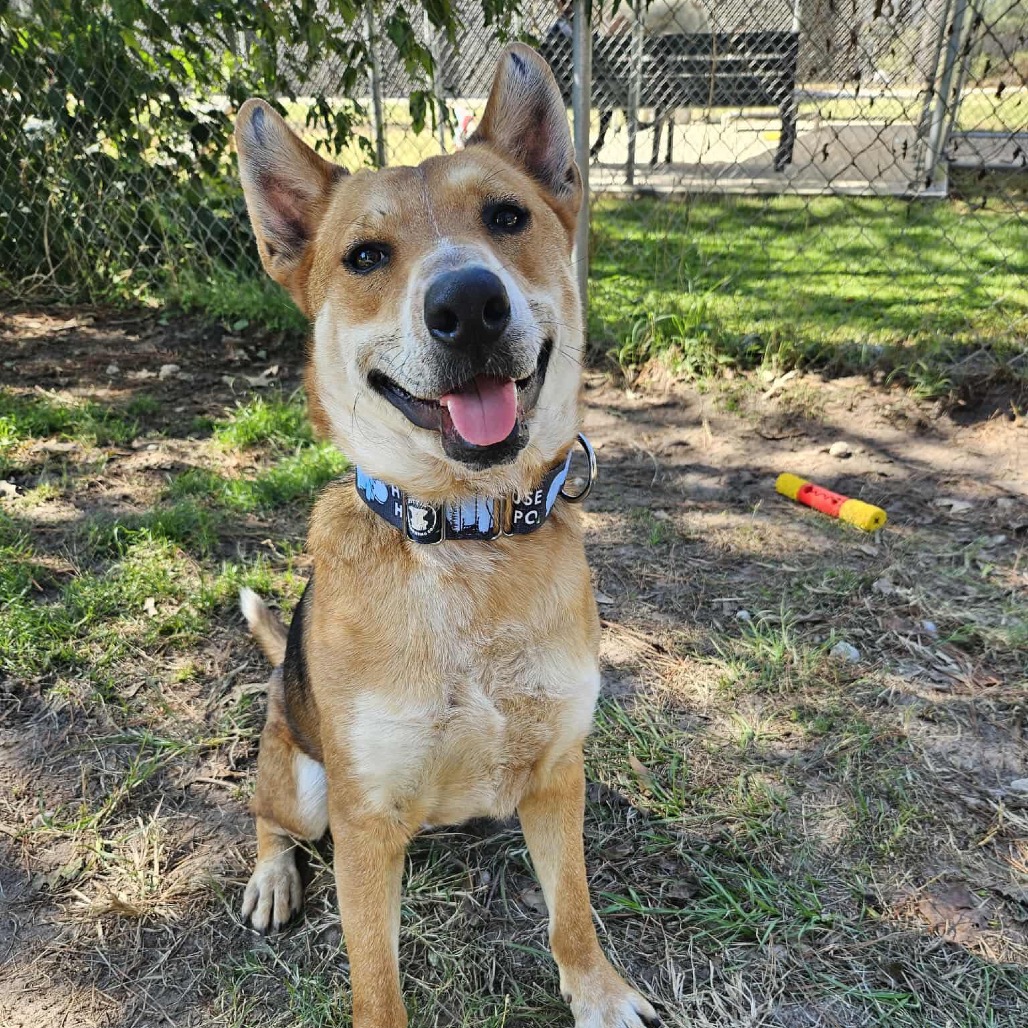 Reagan, photo 9
