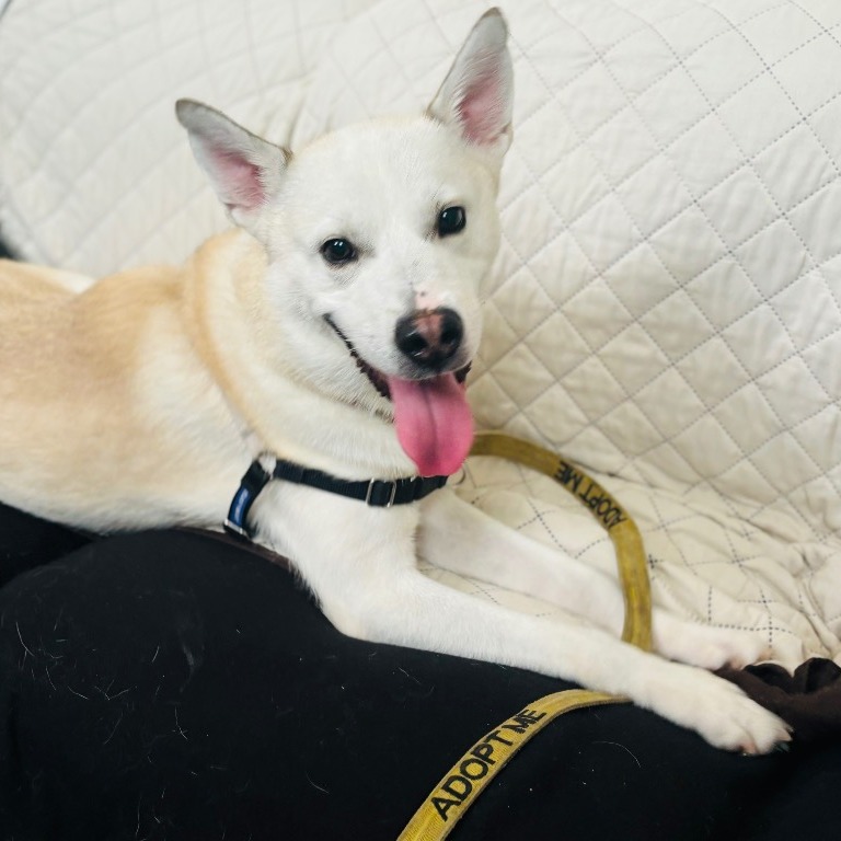 Full body shot of Austin