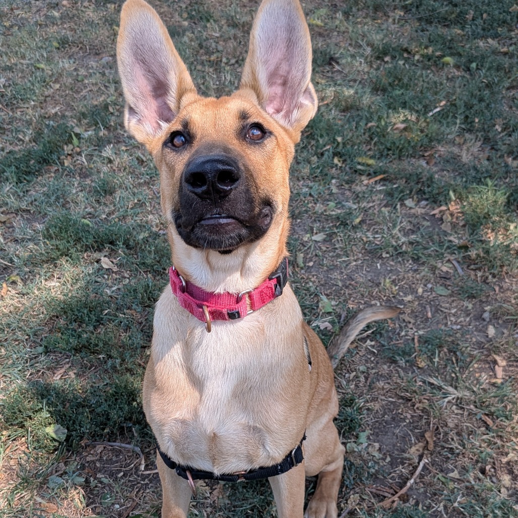 Nina