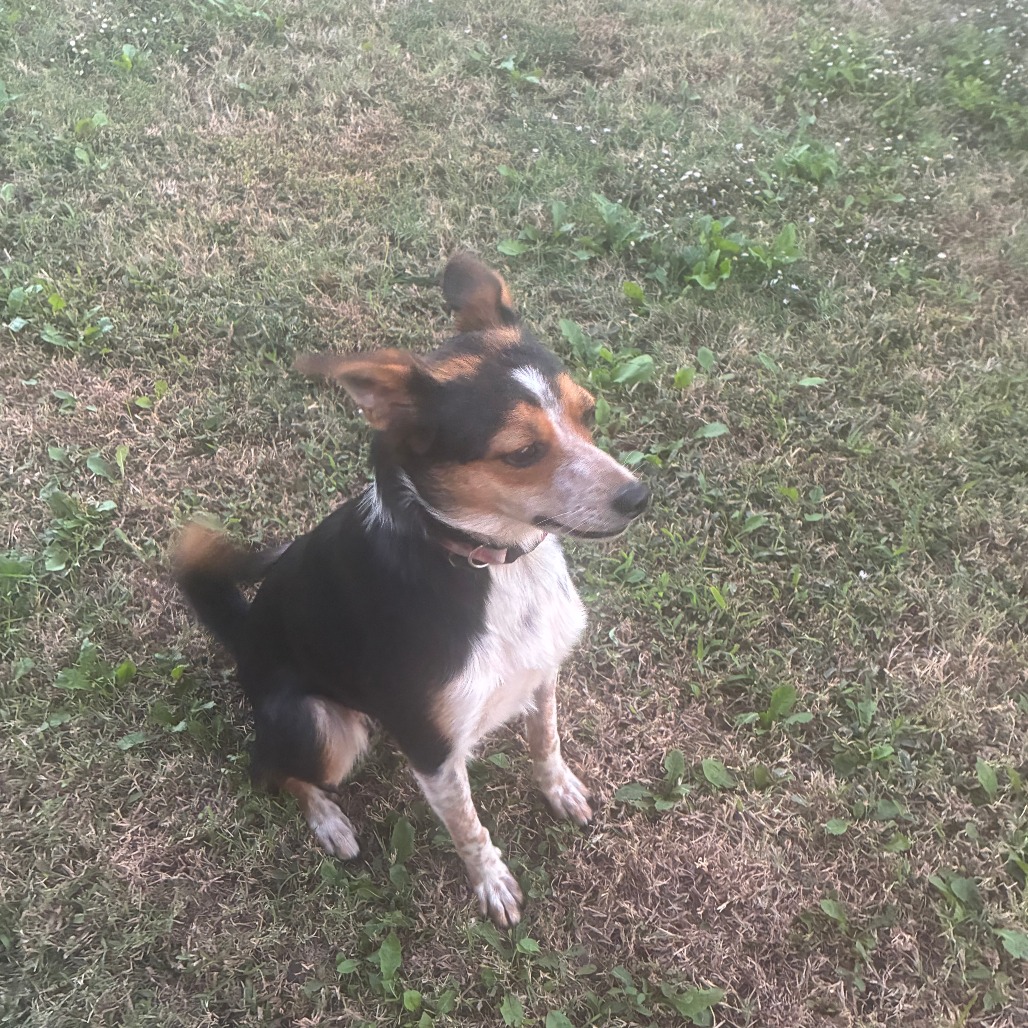 Jenny photo 2