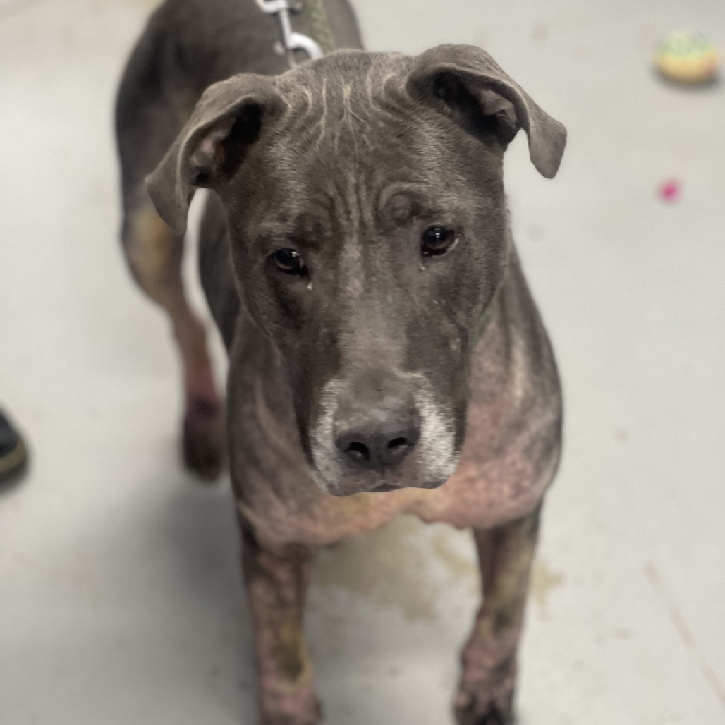 Dior — thumbnail 3