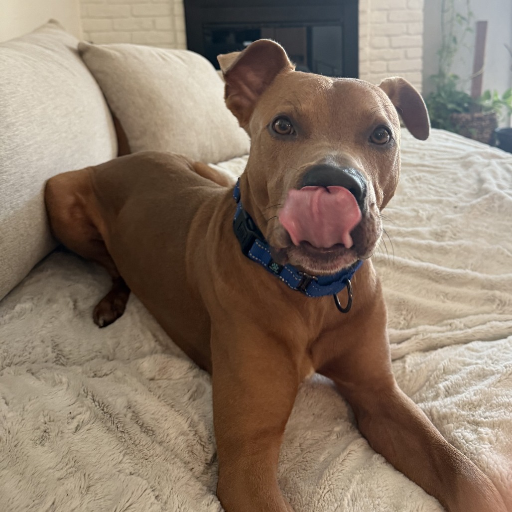 Hulk — thumbnail 10