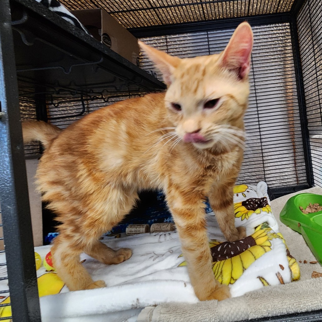 Sunlight — thumbnail 2