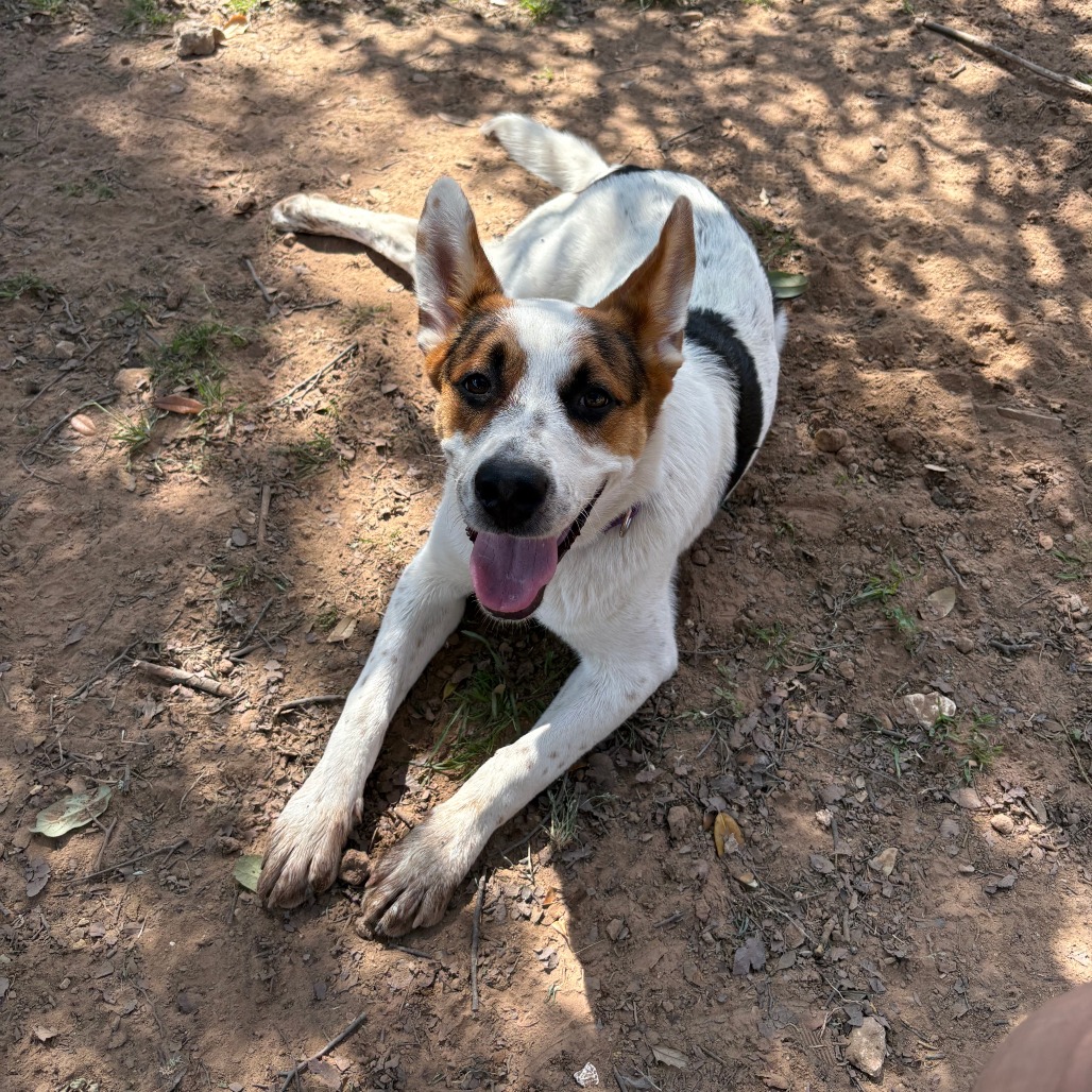 Radar — thumbnail 11