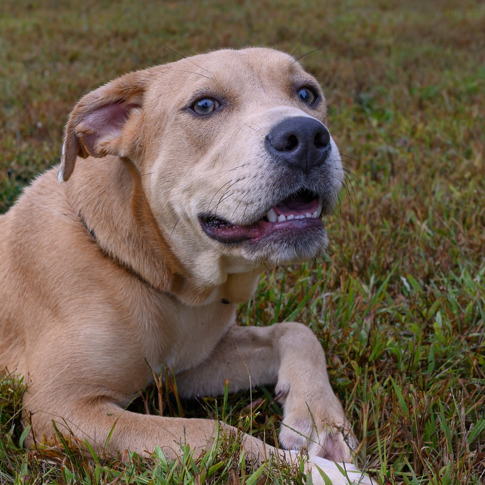 Eloise, photo 6