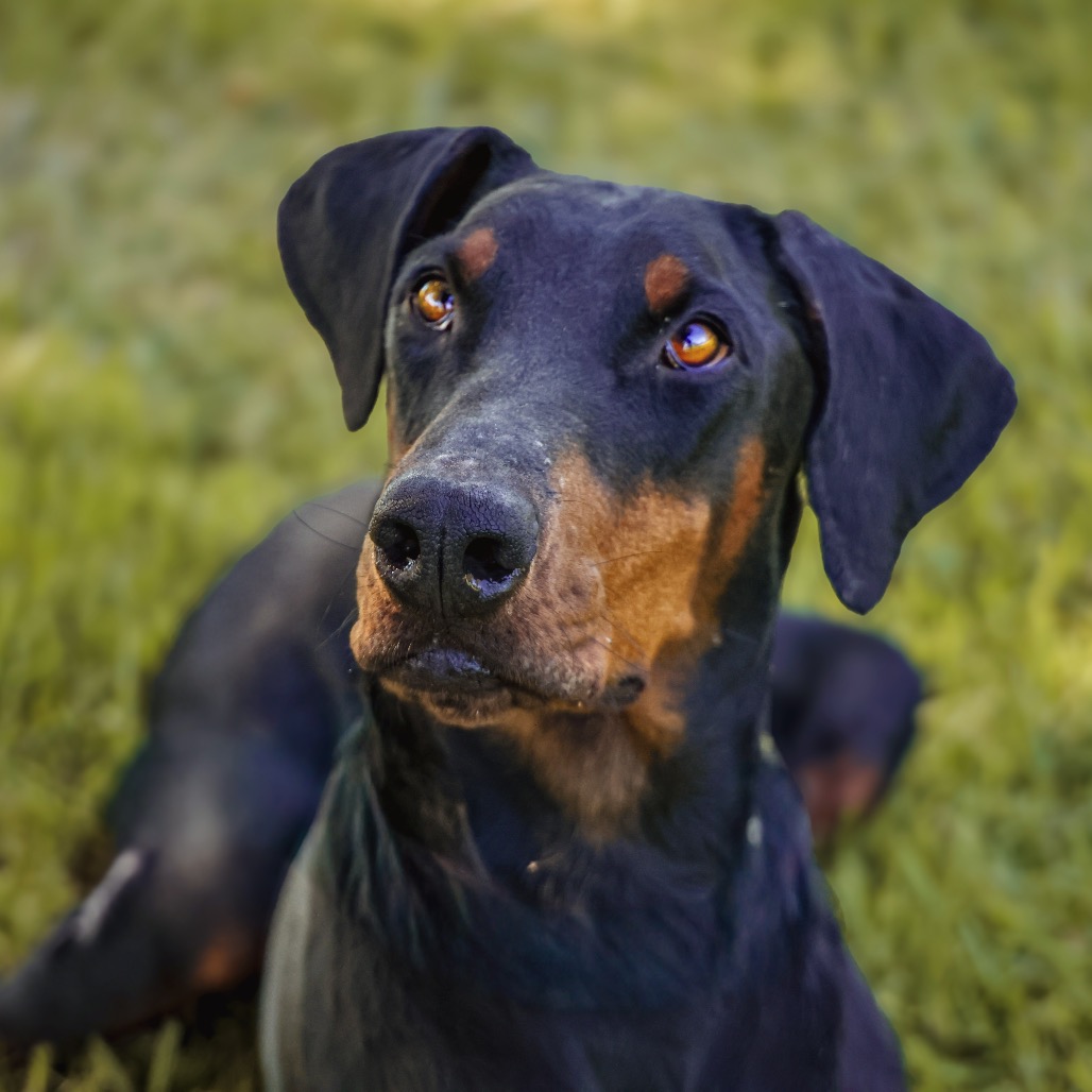 SHEENA, photo 5