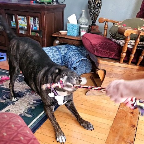 Baby Girl--In Foster, photo 4