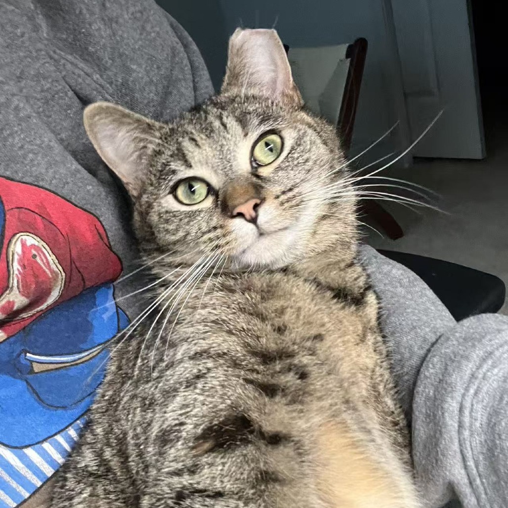 Ms. Pac Man — thumbnail 2