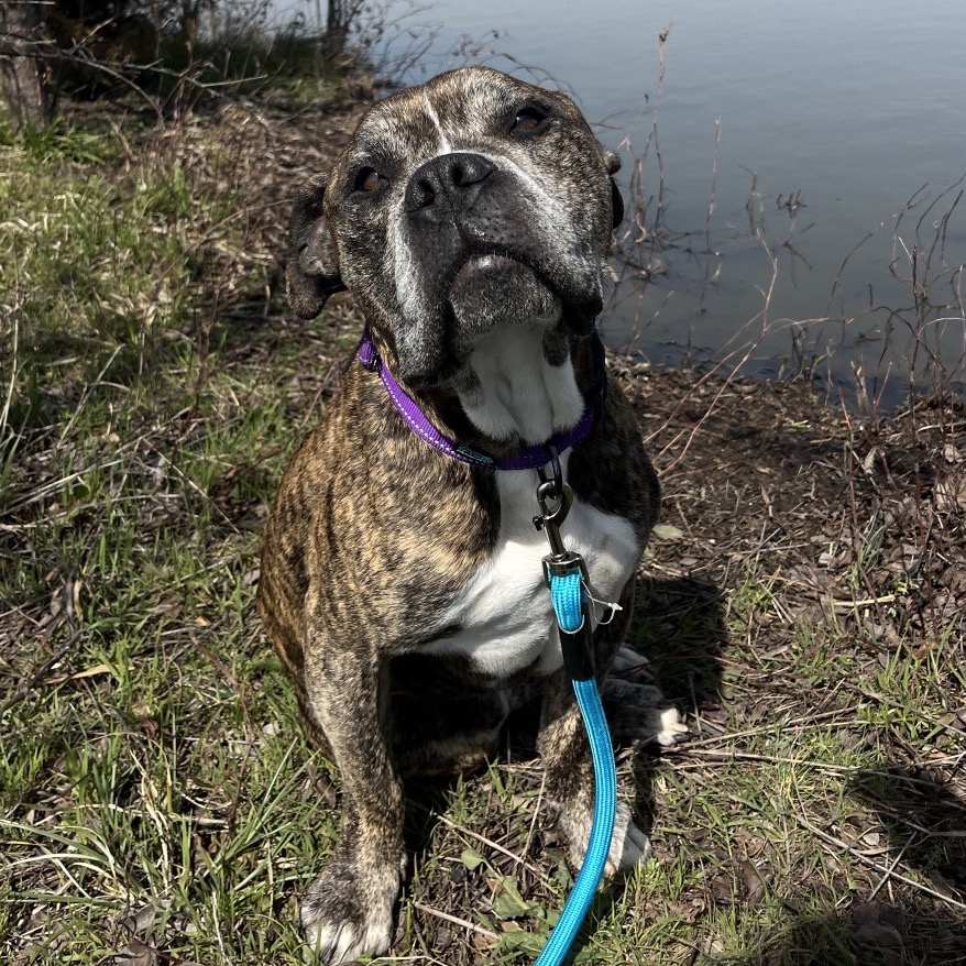 Obie