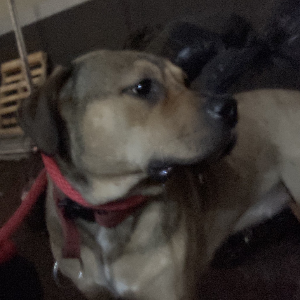 Cassie — thumbnail 2