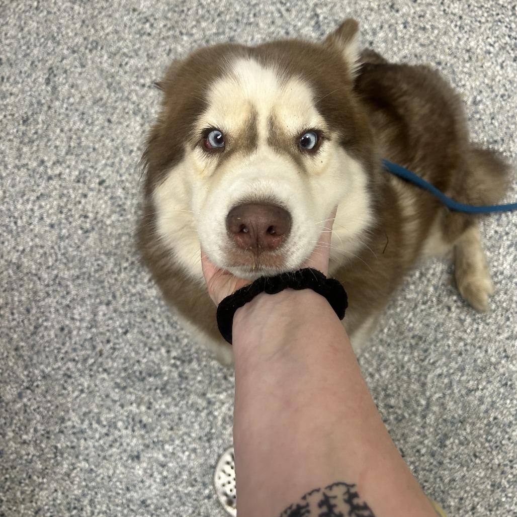 Skye