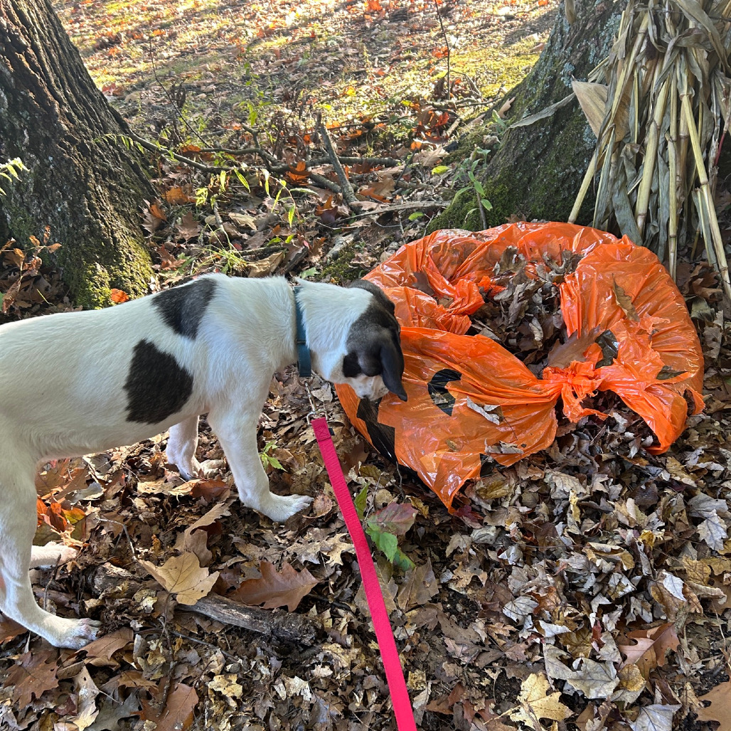Tracker, photo 36