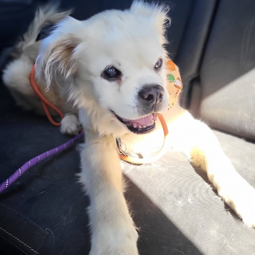 Rosco Rue, photo 7