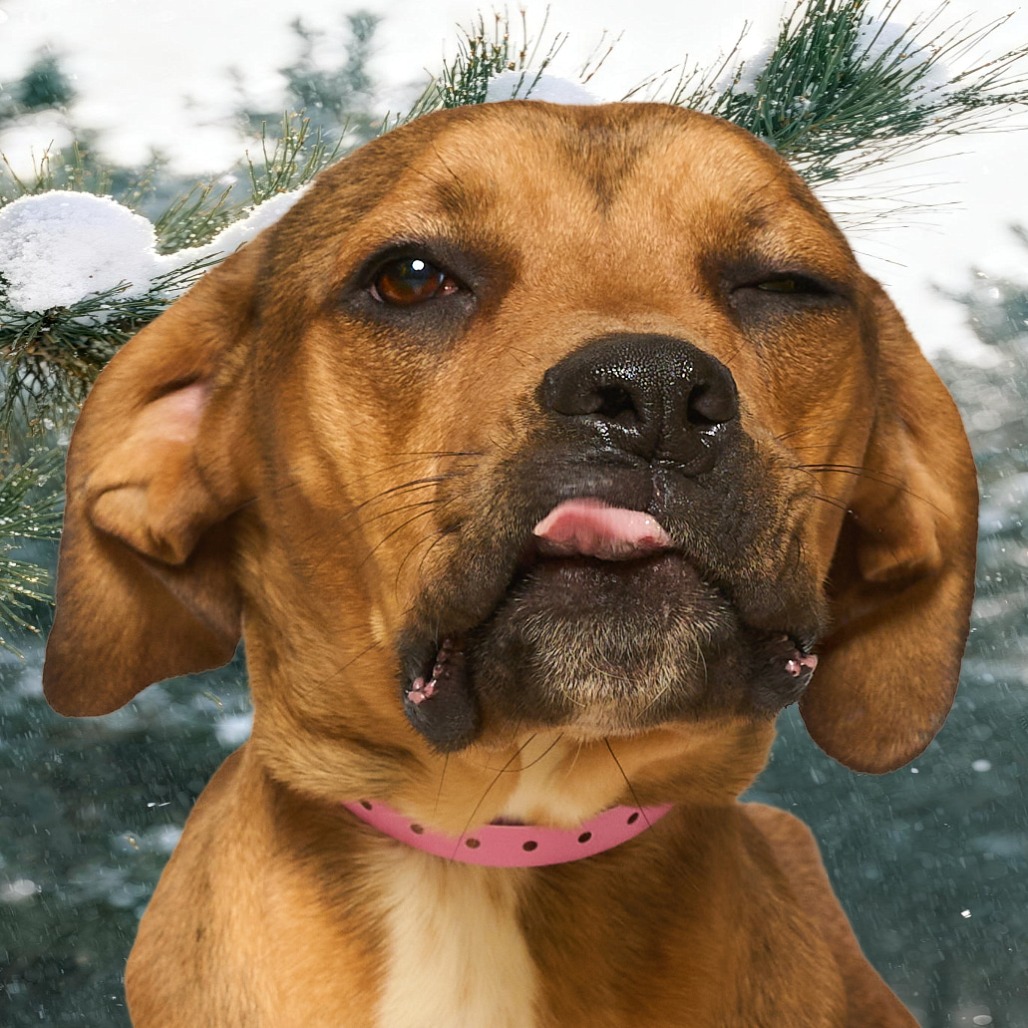 Debra — thumbnail 7