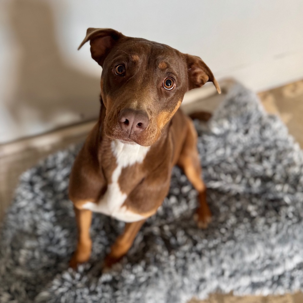 Lexie — thumbnail 5