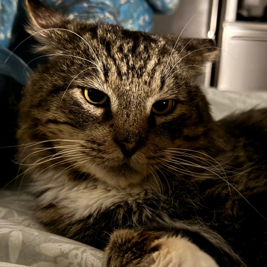 Kroger — thumbnail 5