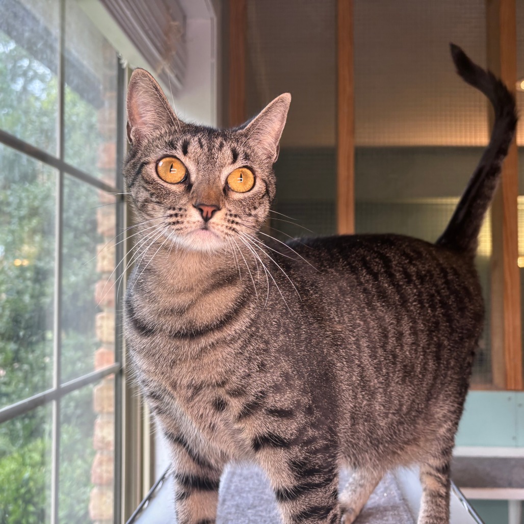 Miss Beans, photo 6