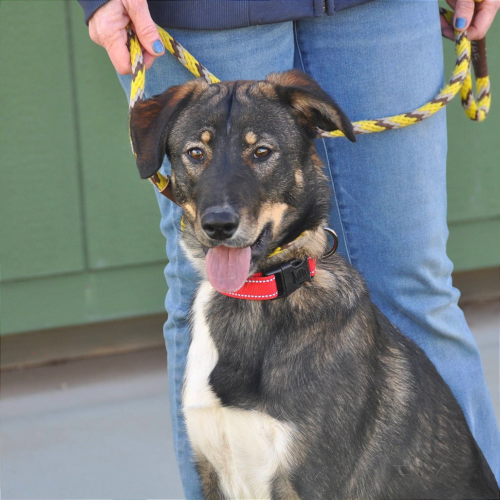 Mocha — thumbnail 3