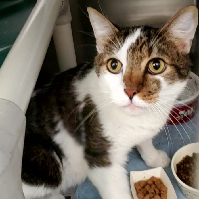 Photo of Buddy