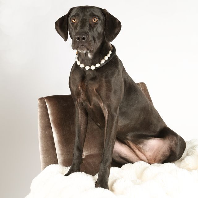 Maggie5, photo 4