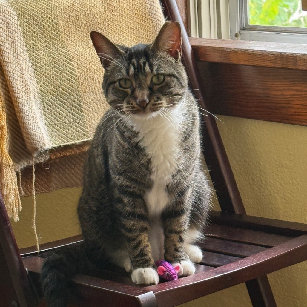 Camouflage--In Foster, photo 31