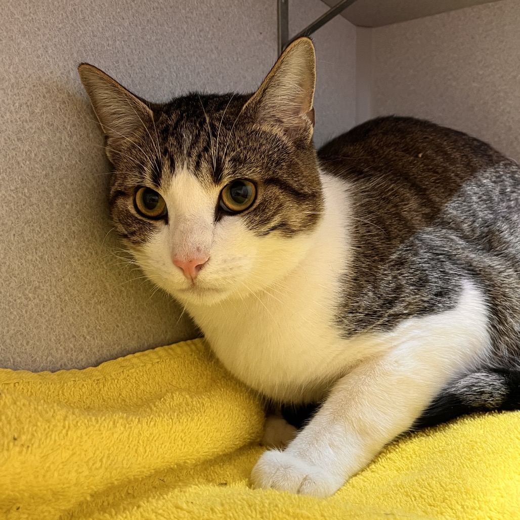 Photo of Nick Carraway 3