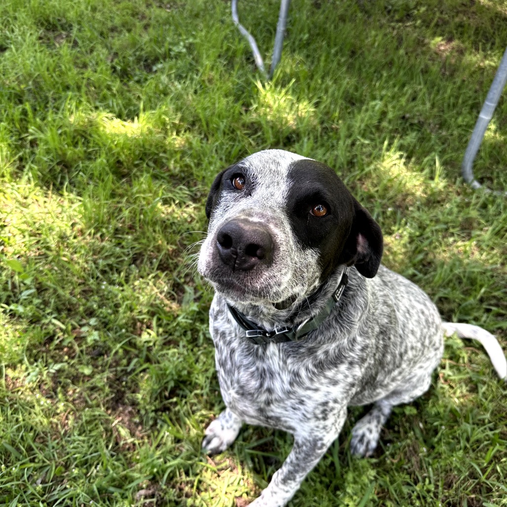 Photo of Freckles