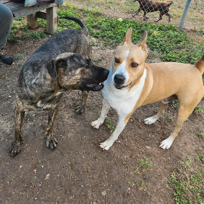 Murph photo 26