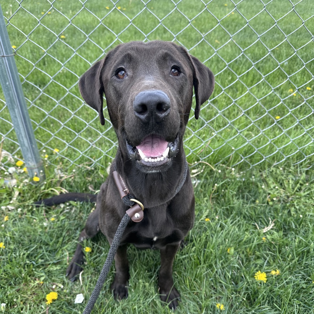 Max 