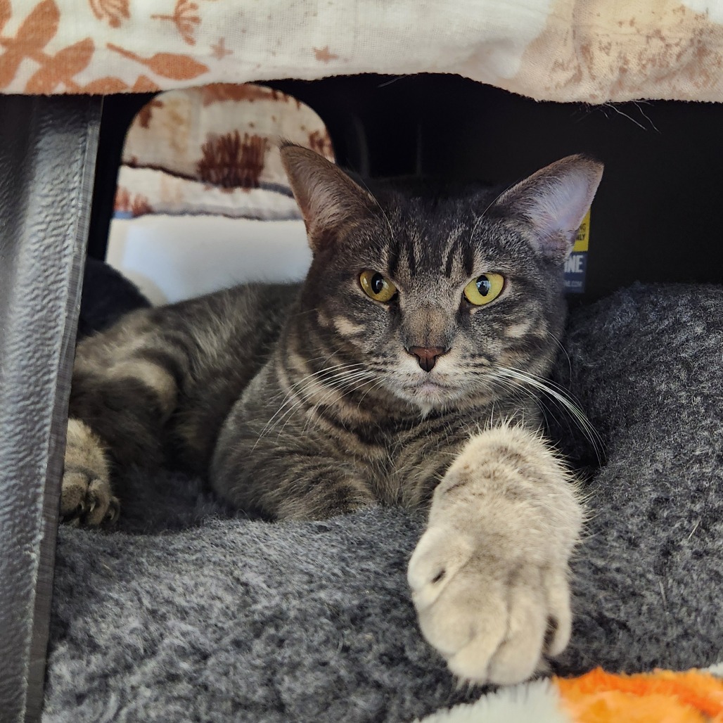 Baby Boy — thumbnail 5