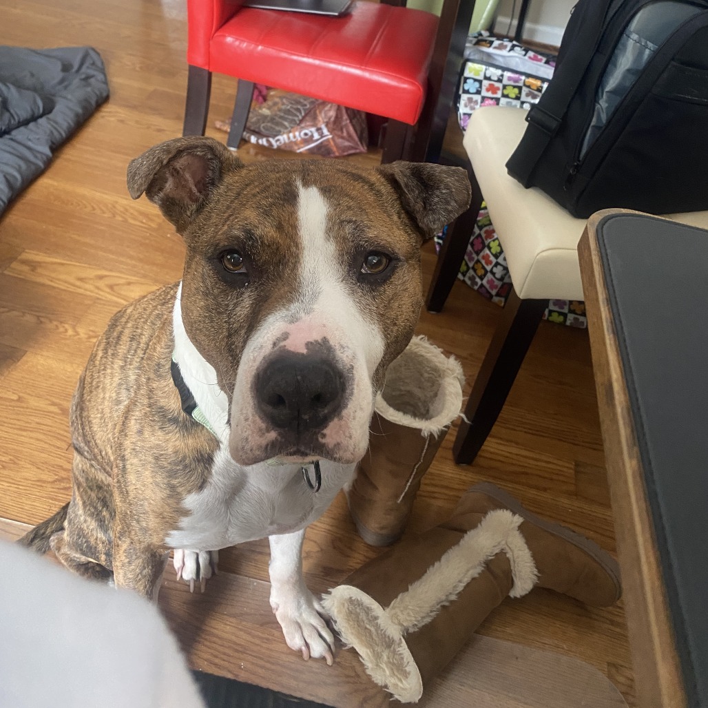Jax, additional photo