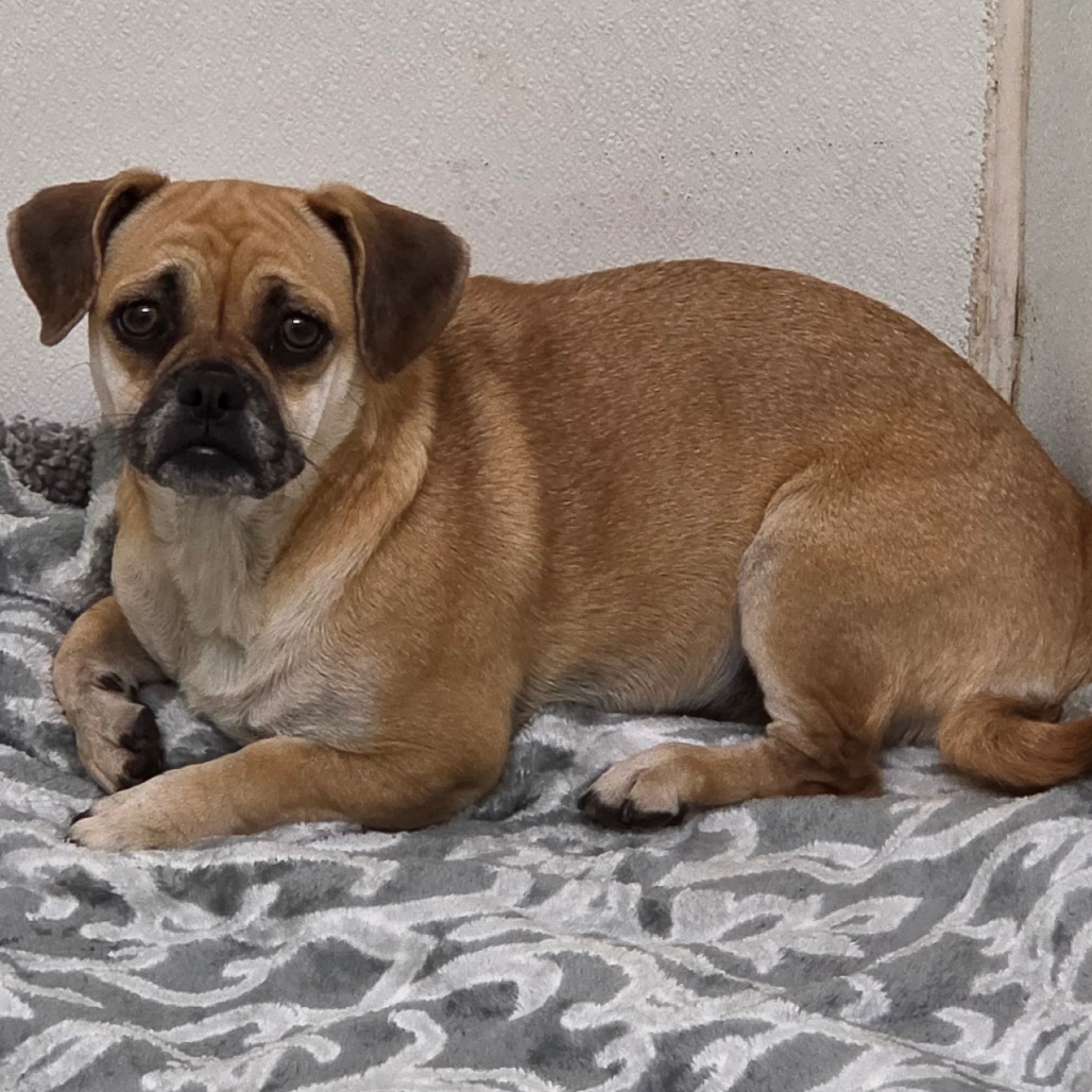 Allison - Chino Hills Location, photo 4