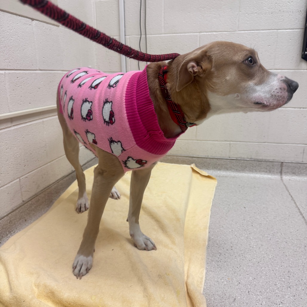 Haruko — thumbnail 2