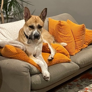 Duffy — thumbnail 4