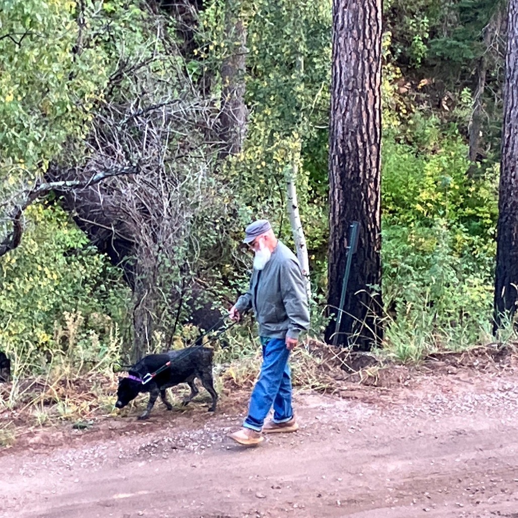 Josie — thumbnail 3