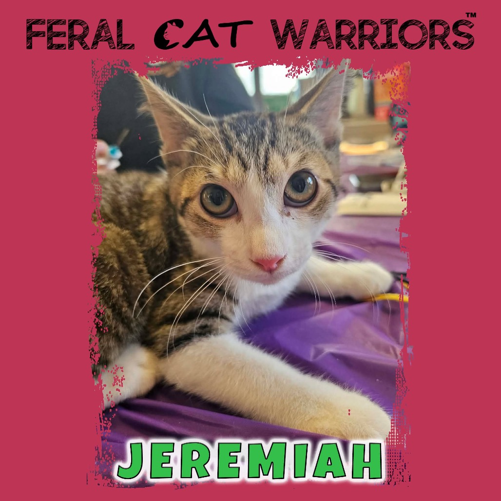 Jeremiah